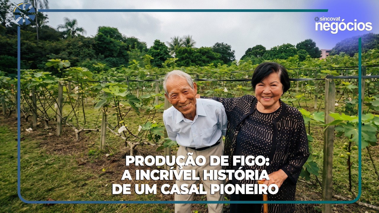 História incrível de casal de produtores de figo de Taubaté I Sincovat Negócios