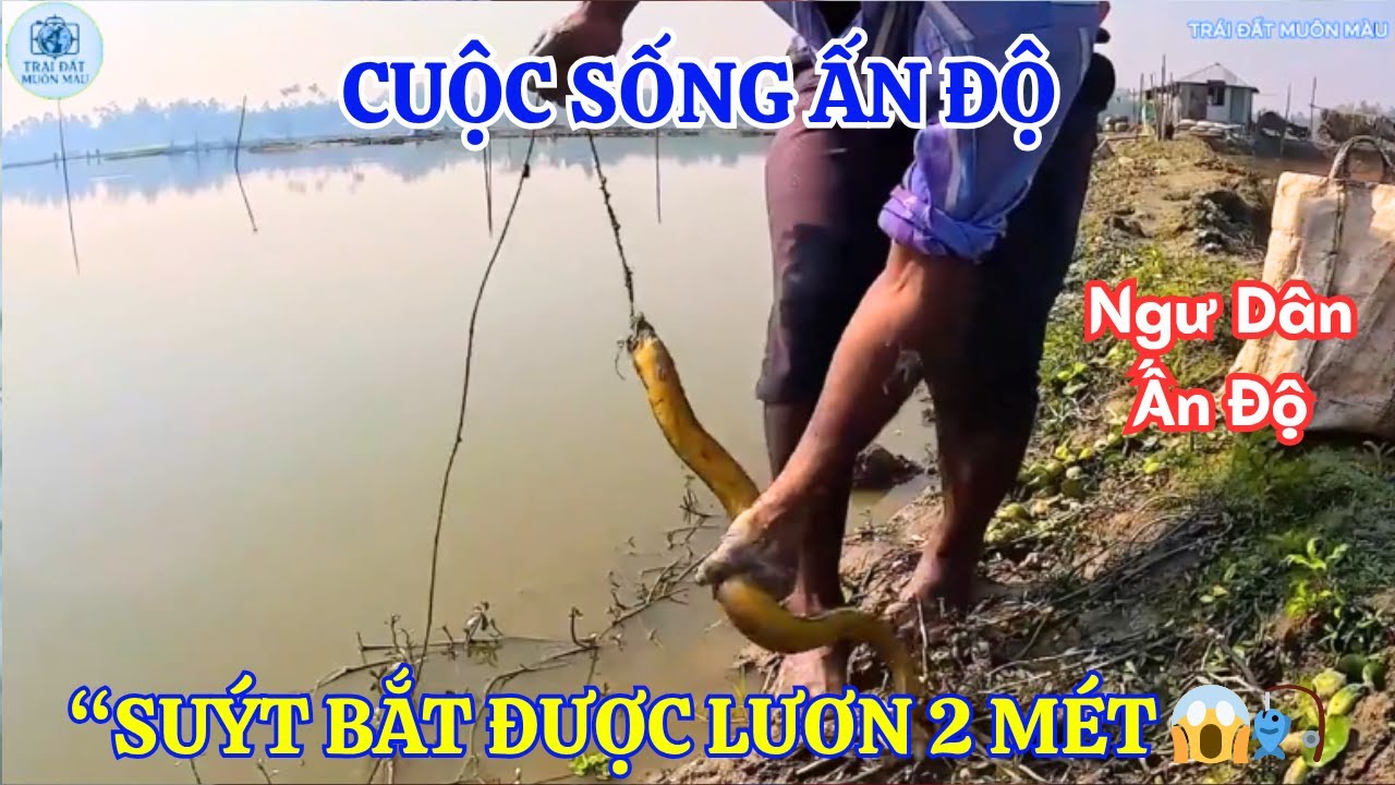 Cuộc sống Ấn Độ: Đi Câu Lươn, suýt bắt được “Quái vật” 2 mét dưới Sông Hằng!