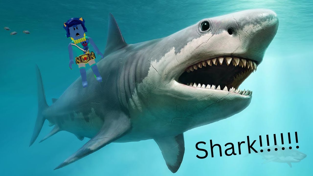 Playing SharkBite on Roblox!!