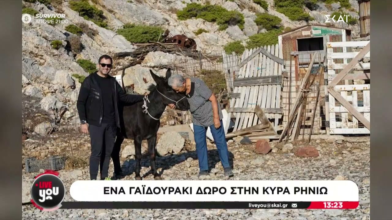 Έφτασε στην Κίναρο και στην κυρά Ρηνιώ, το γαϊδουράκι που θα της κρατάει συντροφιά | Live You