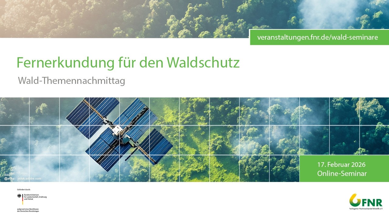 Wald-Themennachmittag: Fernerkundung f&uuml;r den Waldschutz - Diskussion (4/4)