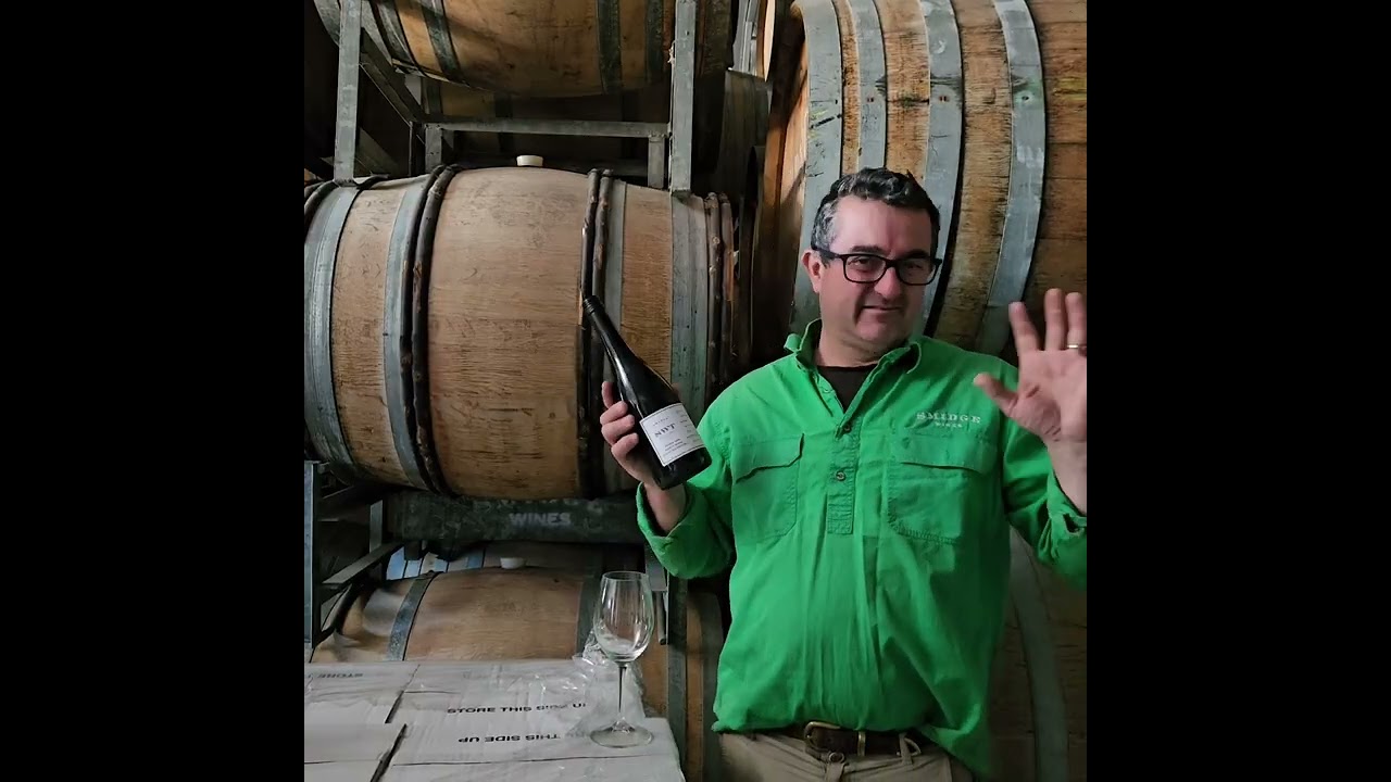 Wine Back Wednesday 2023 SWT McLaren Vale Shiraz 25% stalks