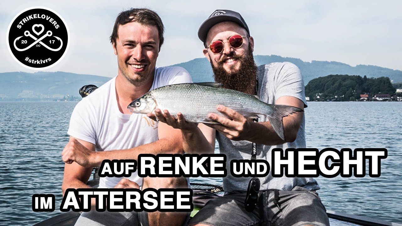 Renkenfischen (LIVEBISSE!) 🎣❤️ am Attersee und Hechtfischen (METERHECHT!) #strklvrs