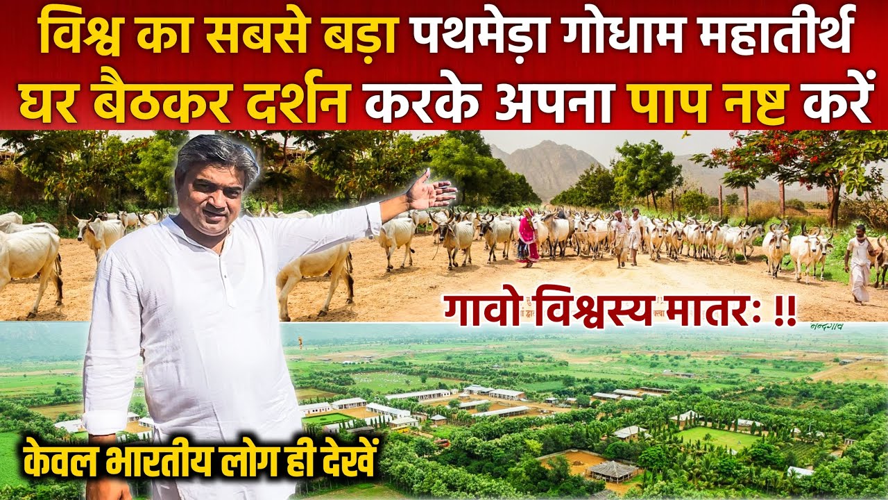 Pathmeda नंदगाँव मनोरमा गौलोक तीर्थ - विश्व की सबसे सुंदर गौशाला का वीडियो। पथमेड़ा गौधाम👍