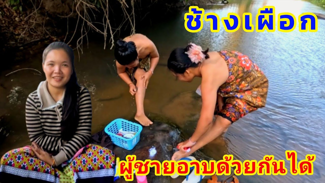 ช้างเผือกสองเอื้อยน้องพาไปอาบน้ำห้วยธรรชาติดีมากๆ 19 กุมภาพันธ์ ค.ศ. 2026