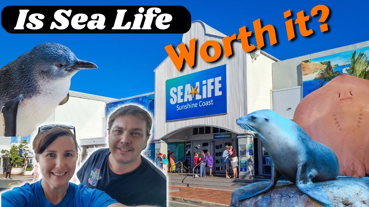 Is Visiting Sea Life Aquarium on the Sunshine Coast REALLY Worth It?
