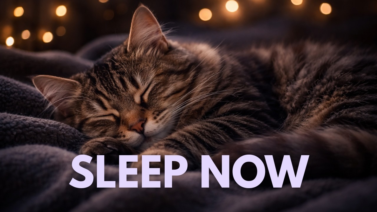 Deep Sleep Music for Cats 🐾 Dark Screen Sleep Aid for Kittens & Older Cats