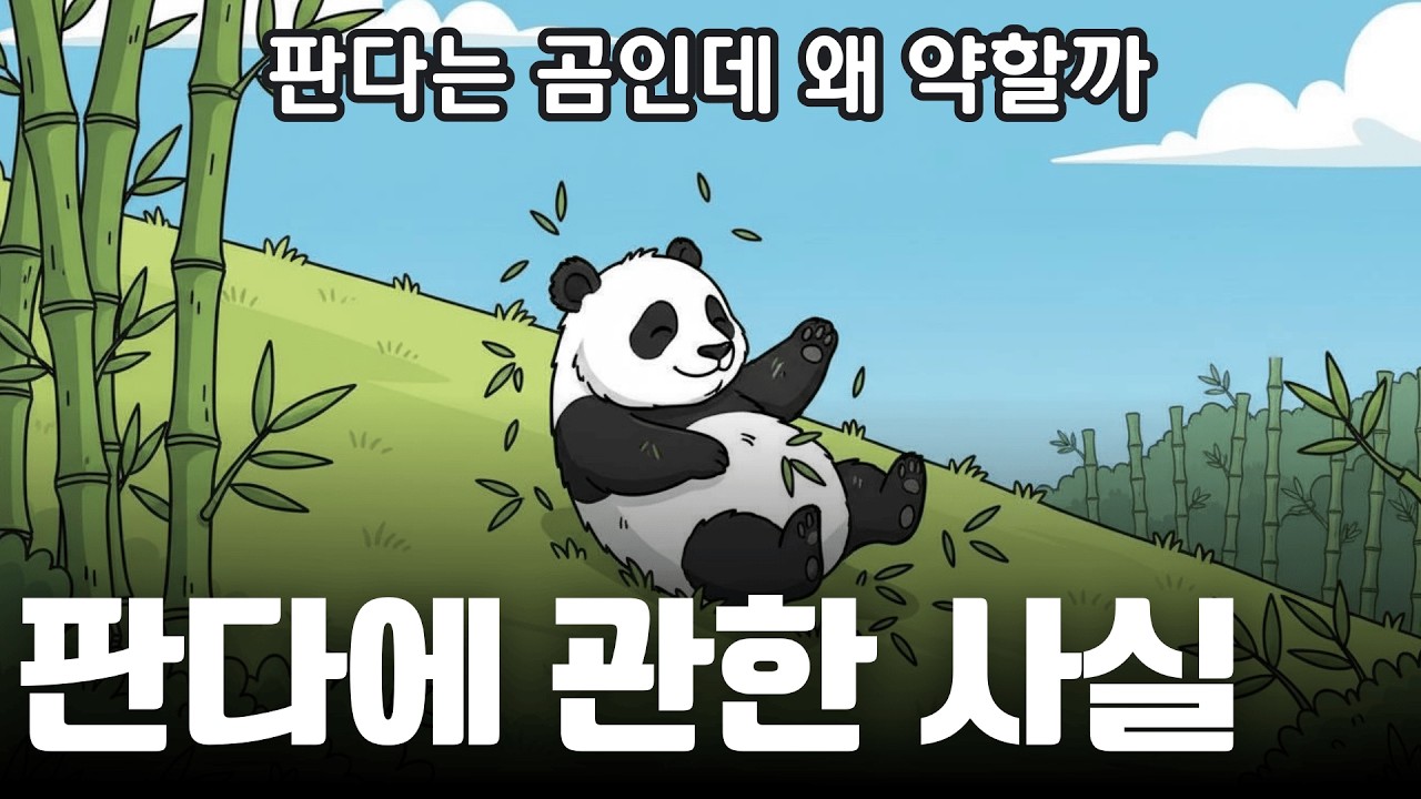 판다는 곰인데 왜 약할까? 판다에 관한 사실 | 다큐 애니메이션