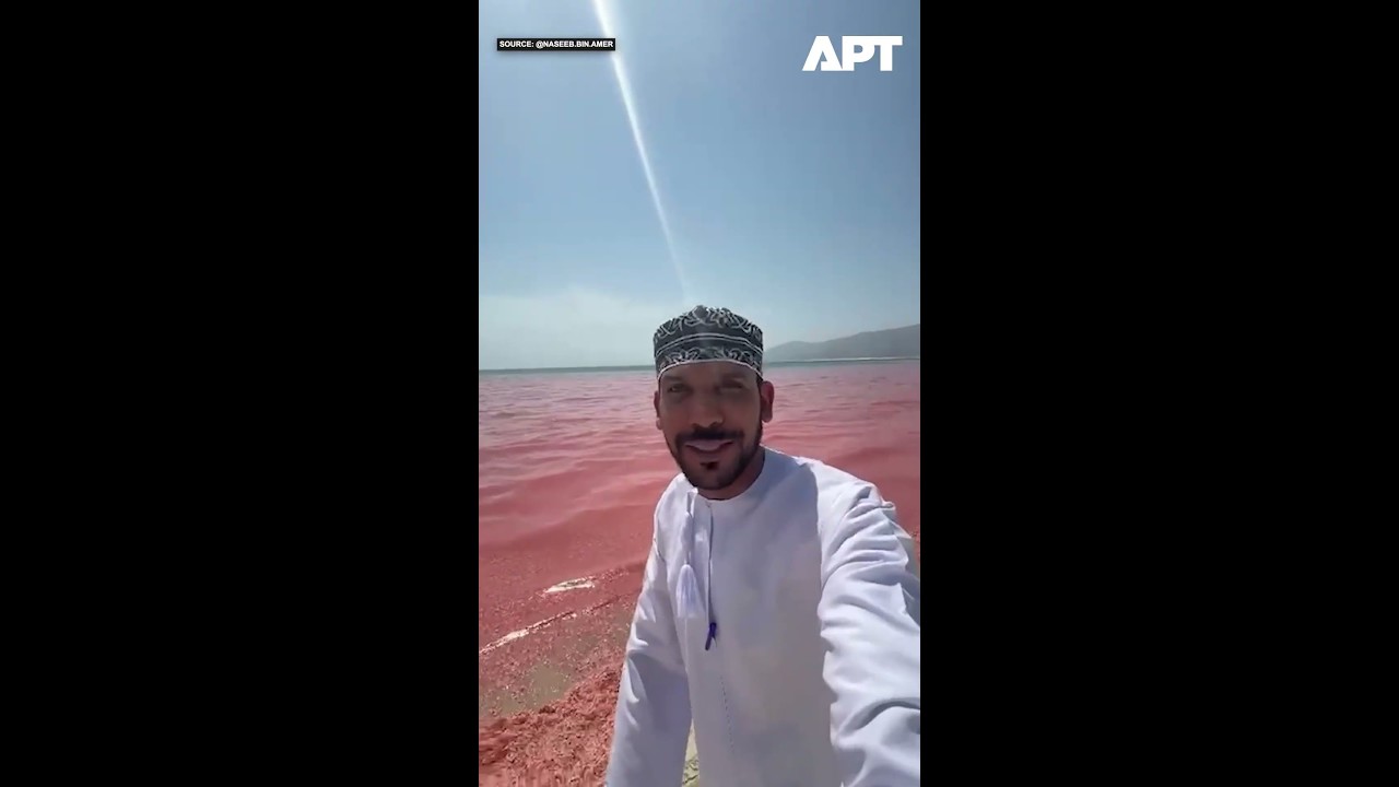 Багровый берег Омана: море окрасилось в красный цвет из-за массовой гибели креветок на пляже | APT