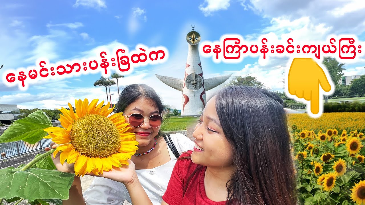 အိုဆာကာမြို့နားက နေကြာပန်းတွေအများကြီးရှိတဲ့နေရာ_SunFlowerParkNearOsaka_Vol.36