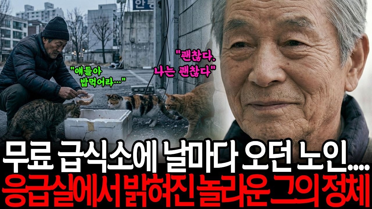 무료 급식소에 매일 오던 노인… 응급실에서 밝혀진 그의 정체 | 감동사연 | 노후사연 | 가족갈등 | 반전사연 | 시니어 | 오디오북