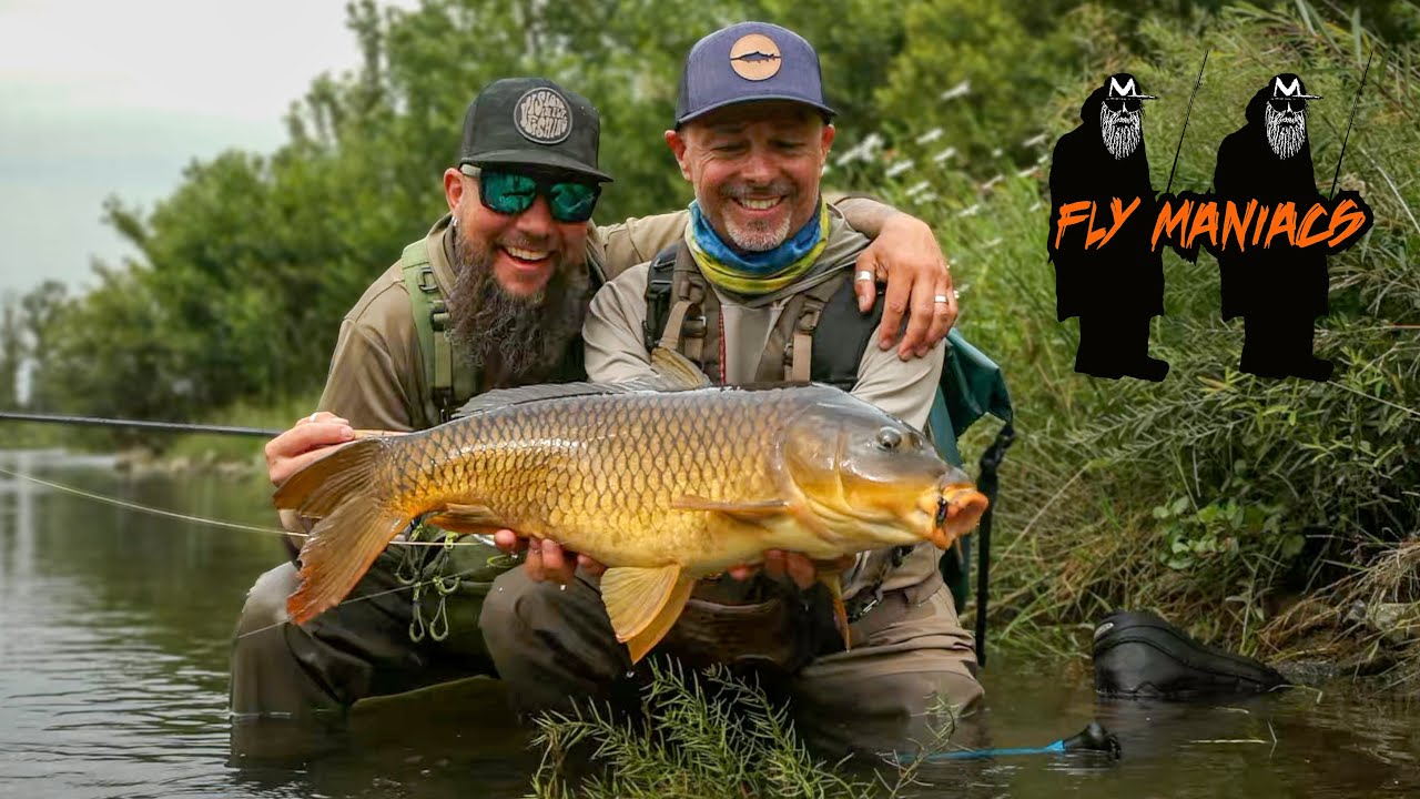 Sight Fishing For River Carp in Italy l Flymaniacs with Niklaus Bauer & Paolo Pacchiarini
