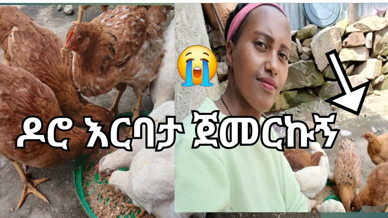 Ethiopia 🔴ዶሮ እርባታ ጀመርኩኝ እስከመጨረሻው እዩት😭