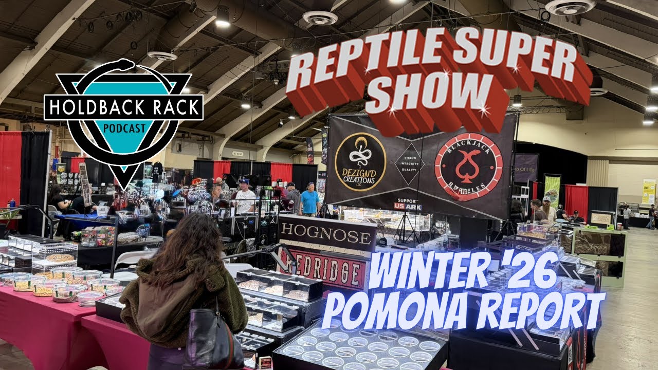 HRP 222 - Pomona Reptile Show Report with Black Jack Reptiles and Dezign’d Creations
