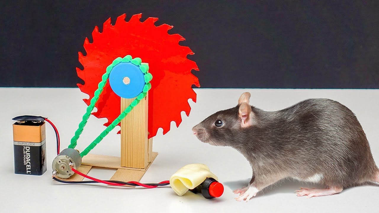 7 INVENTOS FACILES de HACER