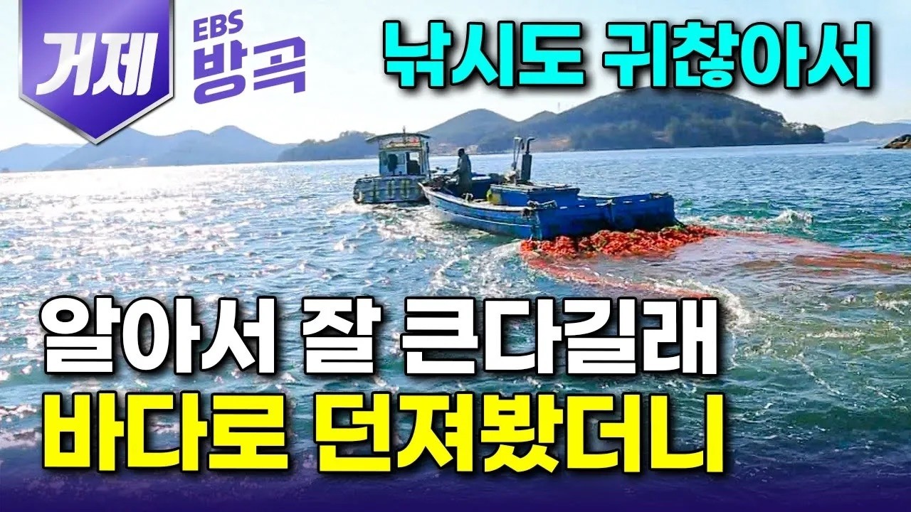 [경남 거제] 