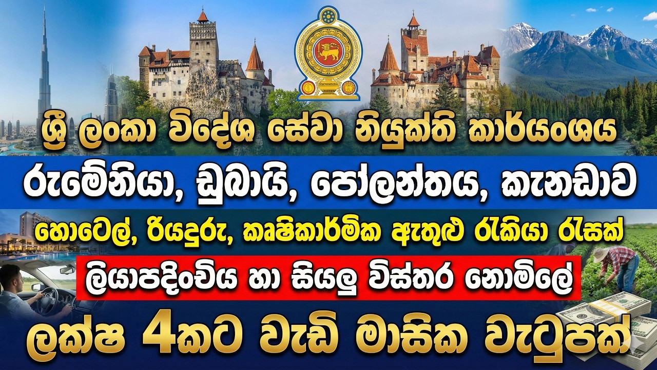 2026 විදේශ සේවා නියුක්ති කාර්යංශය හරහා | රුමේනියා රැකියා පුරප්පාඩු | NO IELTS