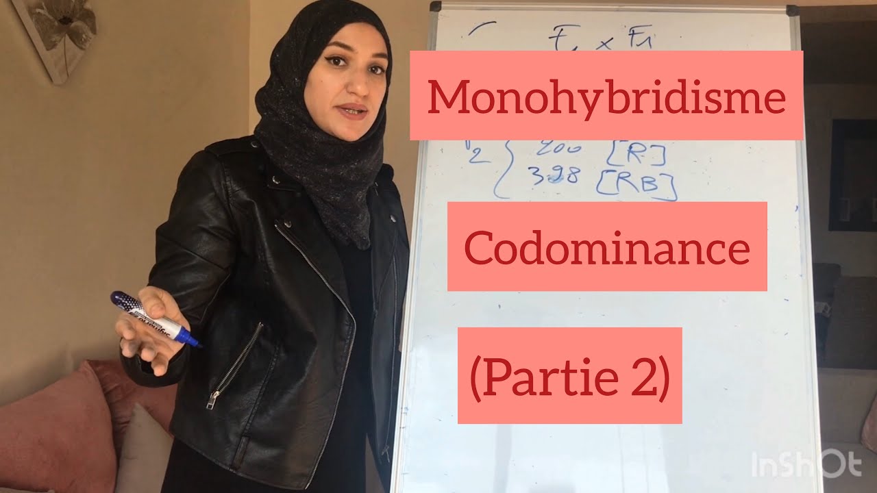 Unité 2/chapitre 4 (partie 2) monohybridisme / codominance