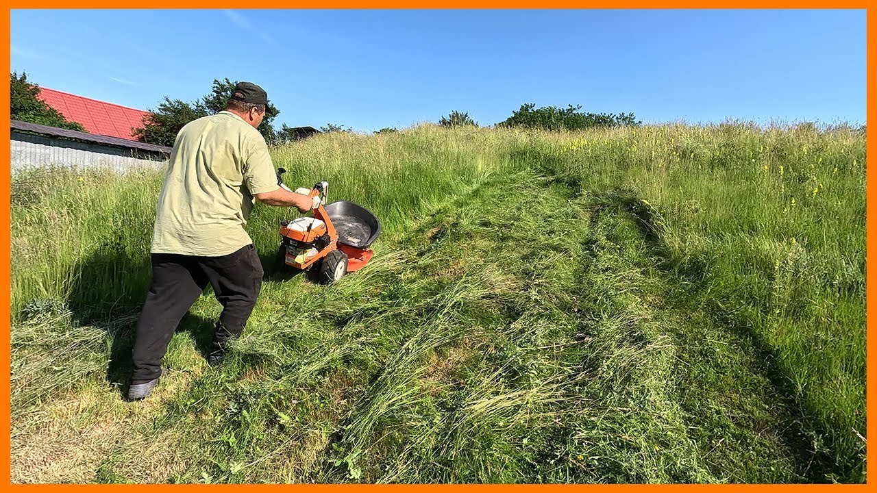 Motocositoarea Ruris 877 la treabă! Cosit fân pentru vaci 🐄🌾