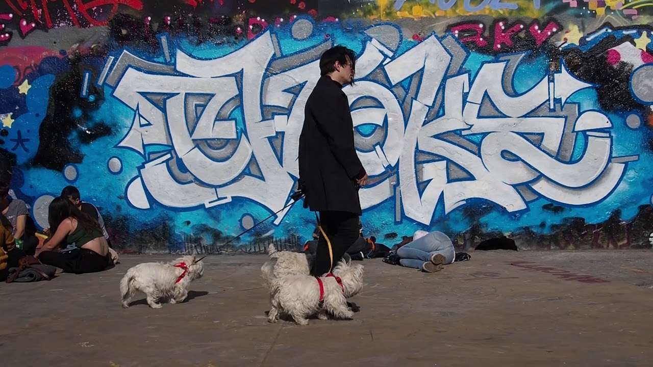 BCN KILLS. Paral-lel Sesh with Vladi Bojan. February 2019.