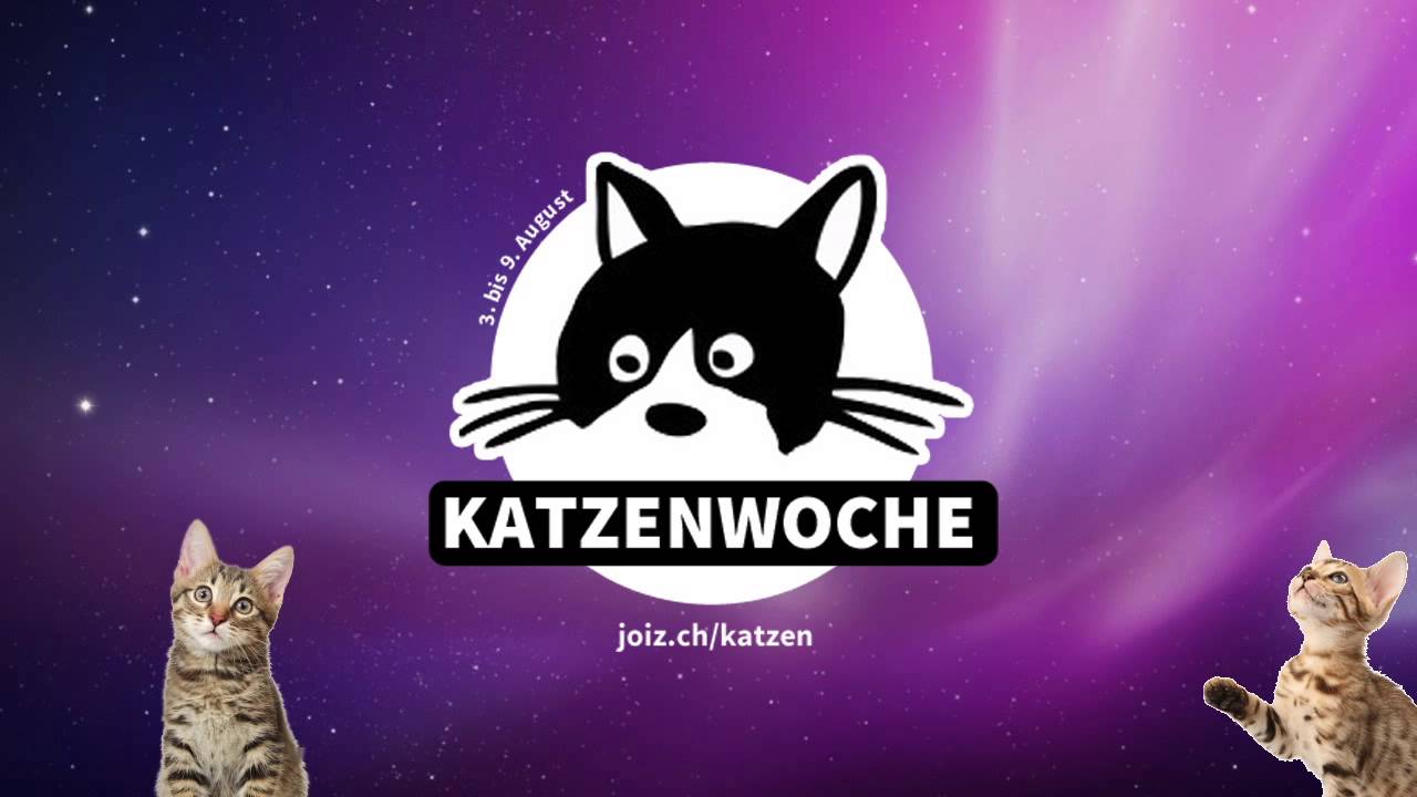 Die Katzenwoche auf joiz