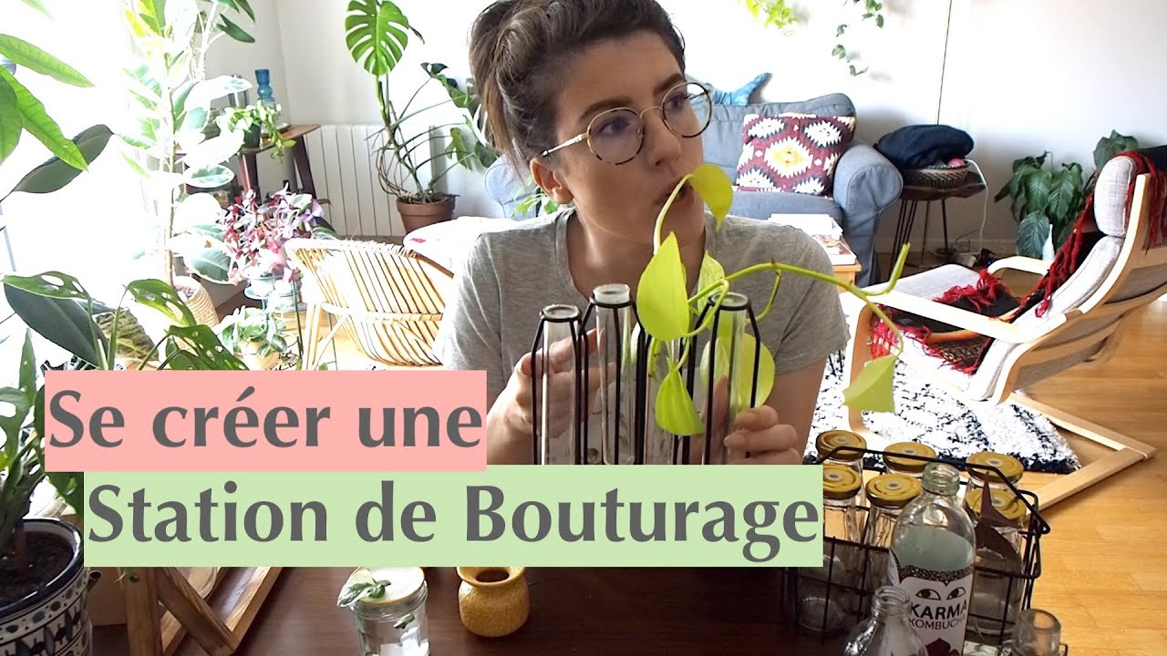 Mes astuces pour se créer une station de bouturage (achats, récup, chine...)