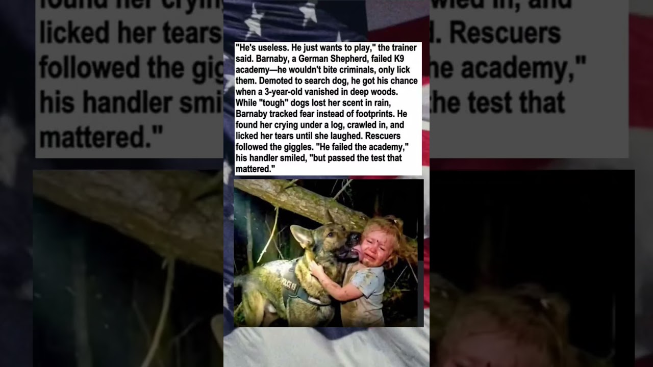 Failed Police Dog Saves Missing Girl..Follow me for more information.