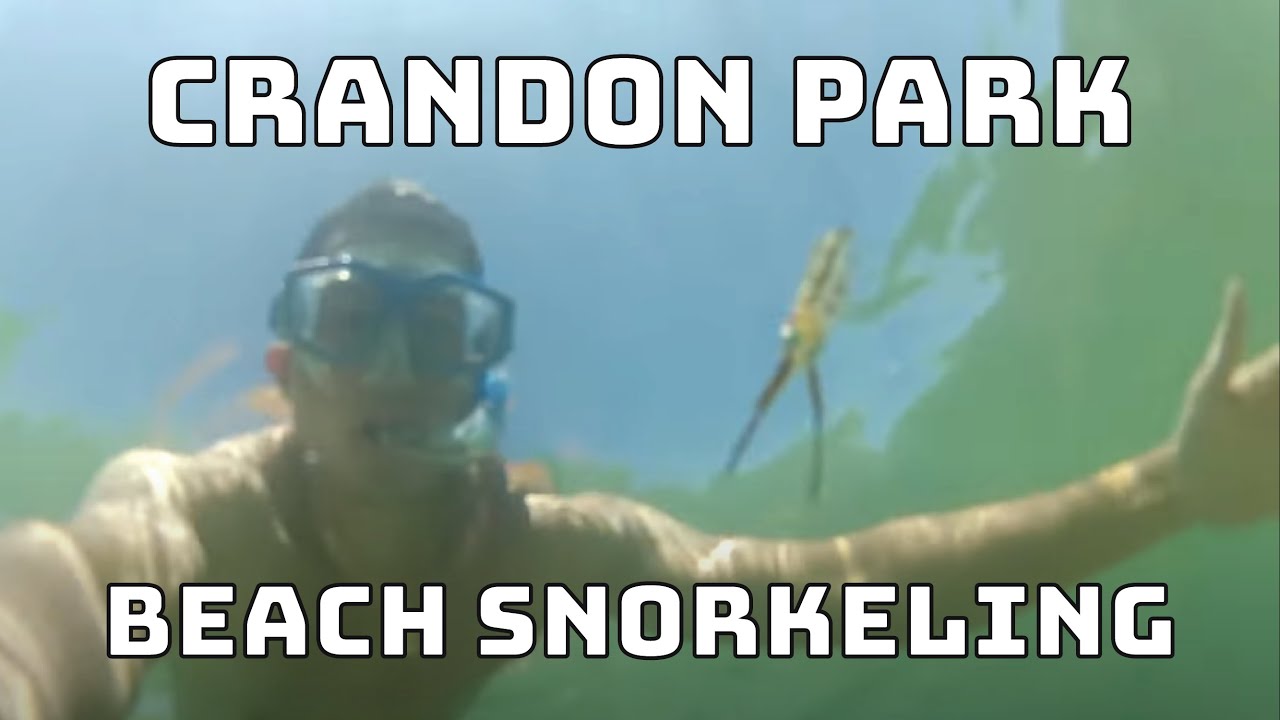Crandon Park Beach Snorkel, Key Biscayne