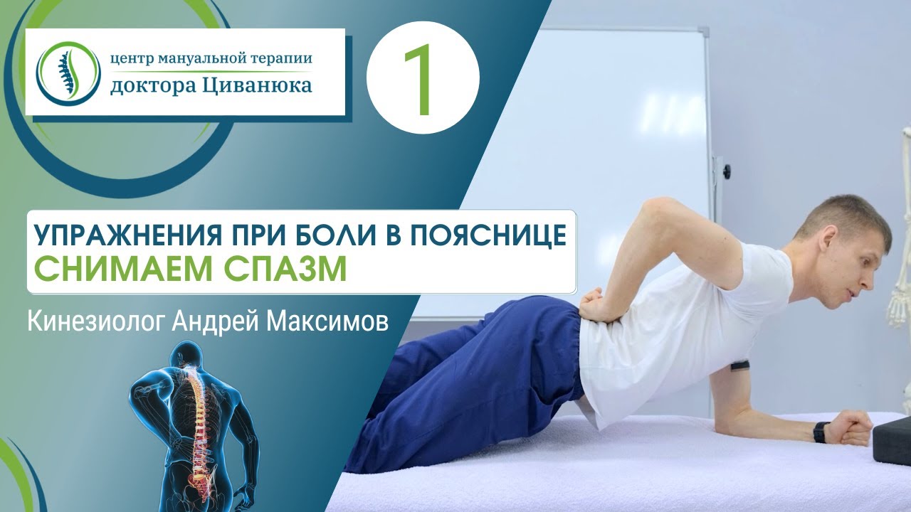 Упражнения при боли в пояснице. Снимаем спазм мышц спины.