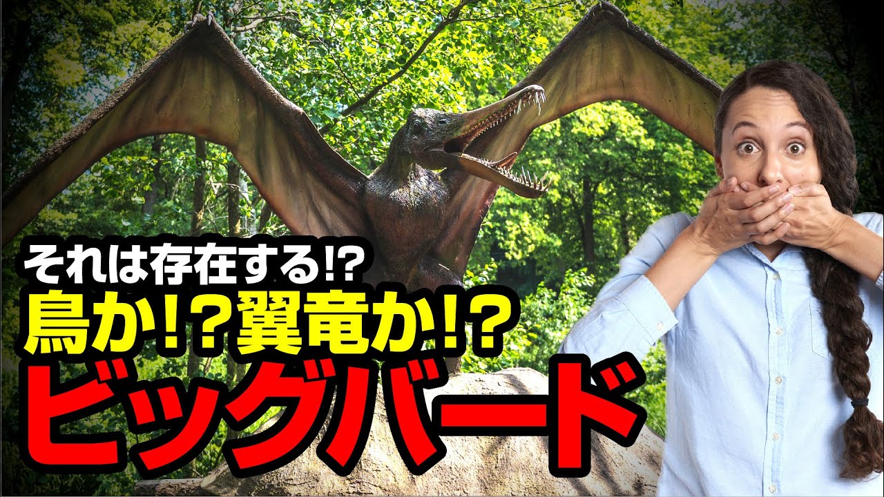 それは存在する！？ビッグバード