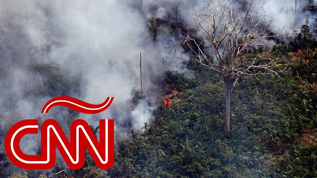 Brasil, Bolivia y Paraguay luchan contra el fuego en Amazonas, ¿quién causó esta tragedia ecológica?