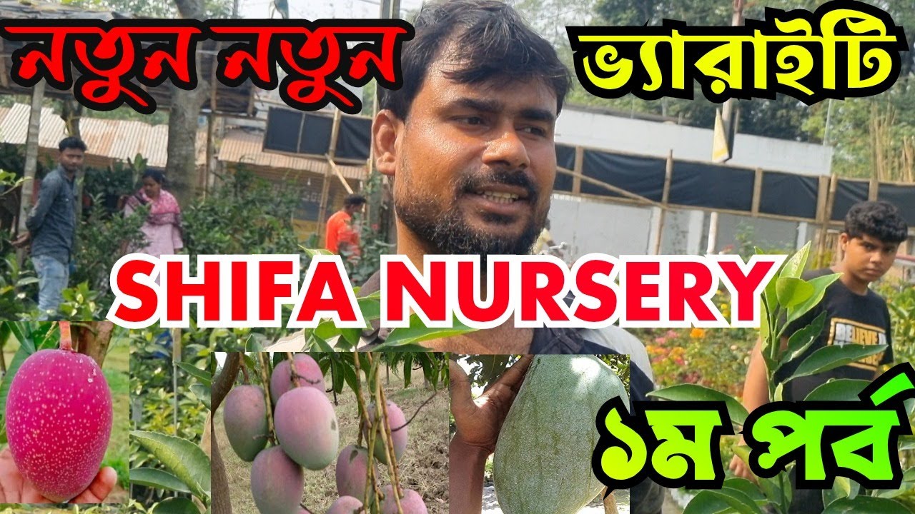 নতুন নতুন ভ্যারাইটির সন্ধান //SHIFA NURSERY New Variety