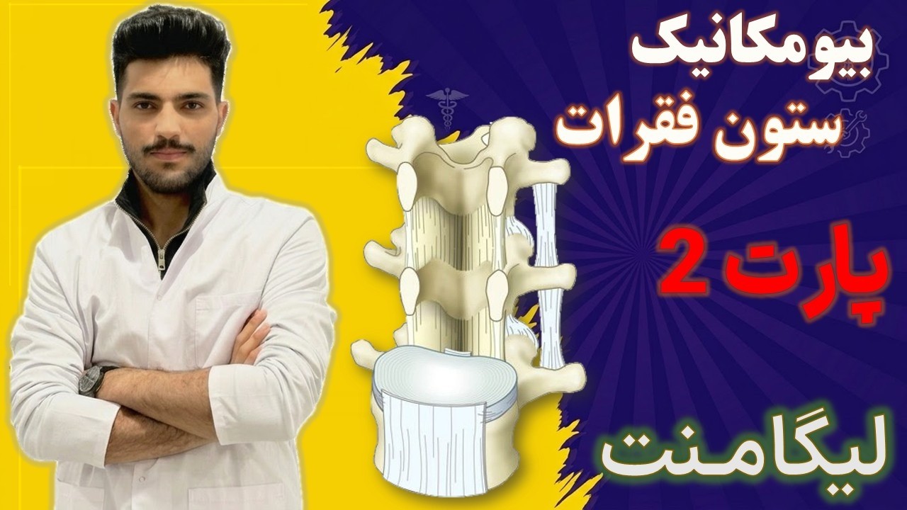 صفر تا صد لیگامنت های ستون فقرات (بیومکانیک اسپاین) از کینزیولوژی نیومن
