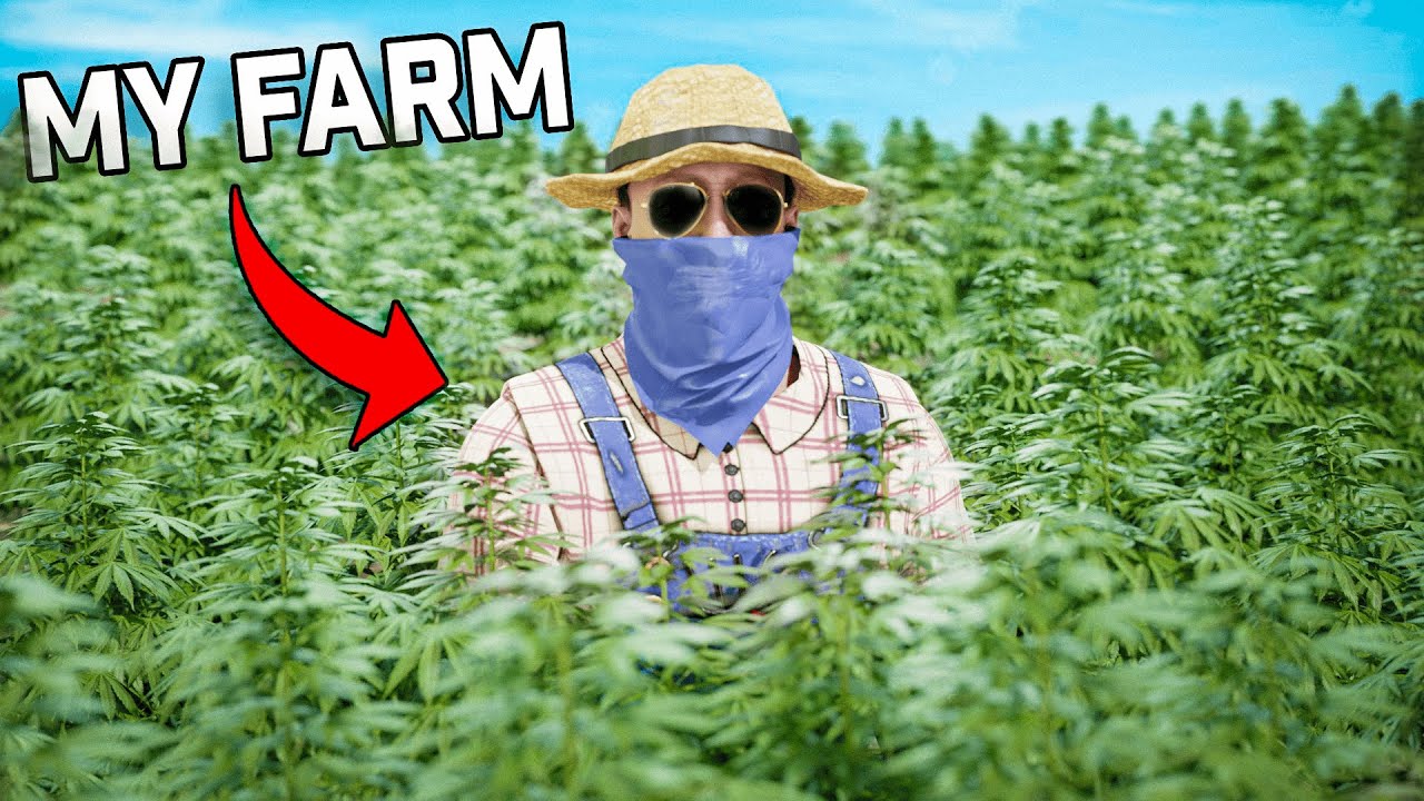 Эта ферма спровоцировала клан совершить на меня набег...