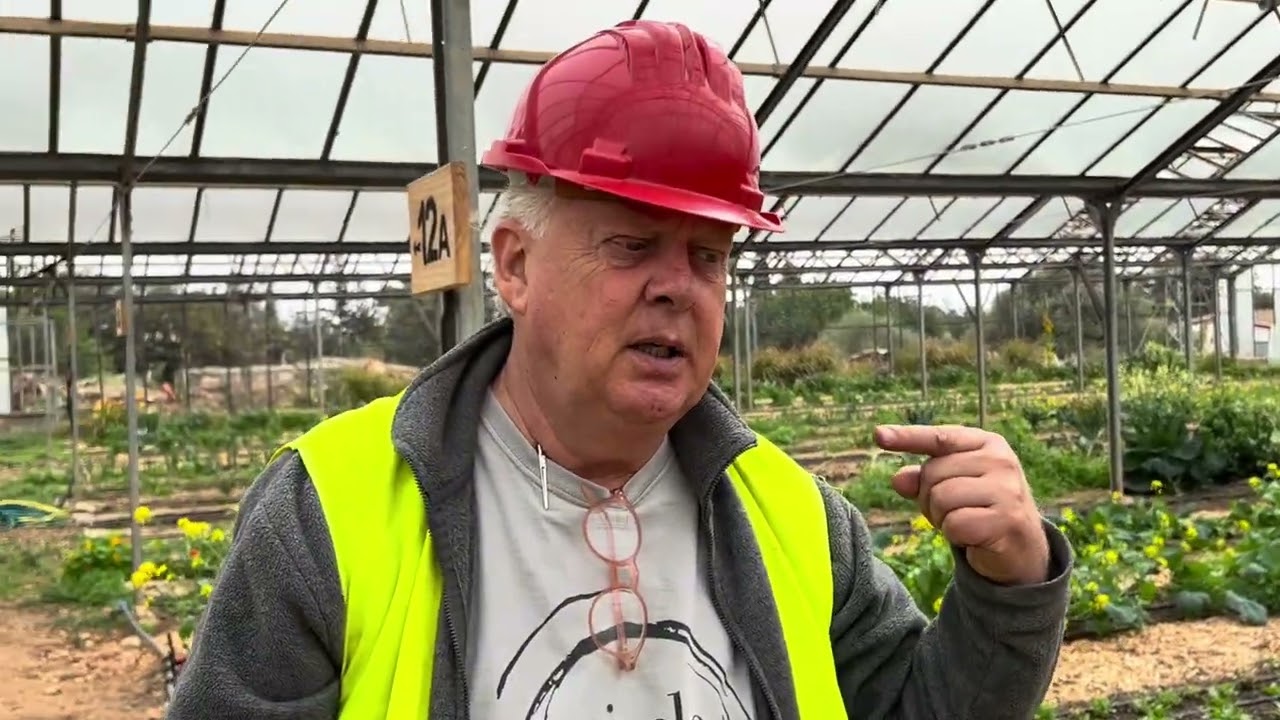 Potatoes 🥔🌱:  Replace fertilizer with biochar?