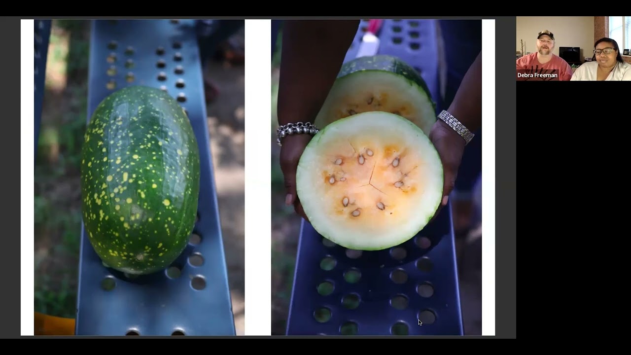 In Search of the Greatest Heirloom Watermelon with Debra Freeman and Joshua Fitzwater