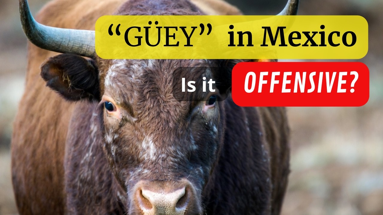 Use and meaning of the word 