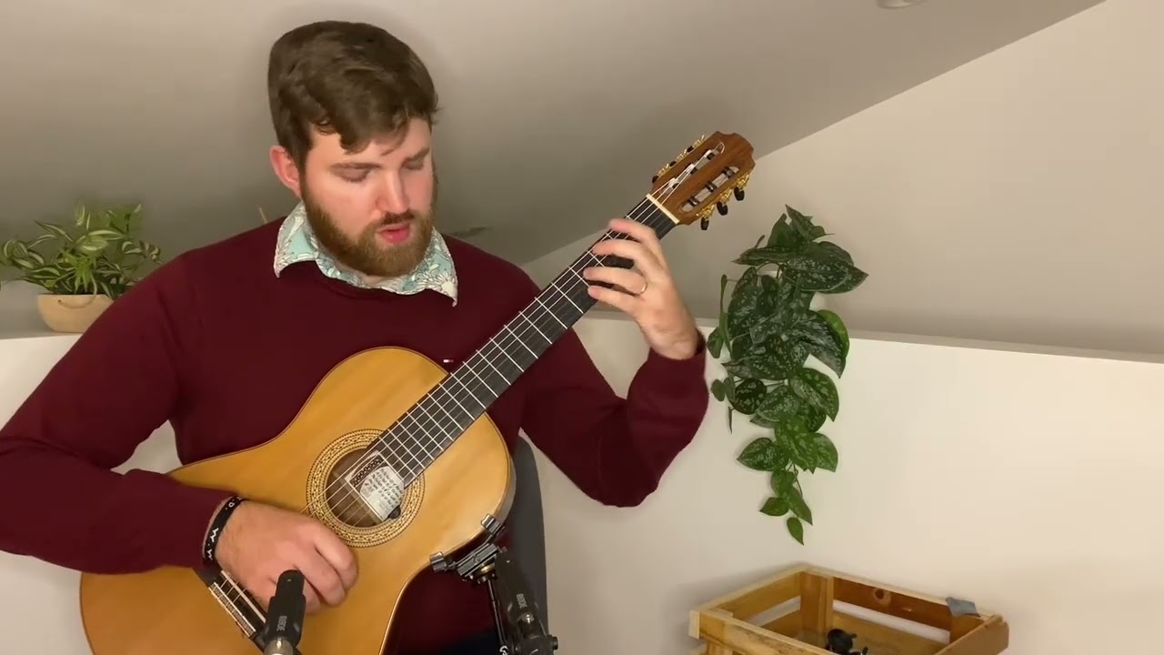 S.L. Weiss Lute Sonata 34: Allemande | Peter Davis