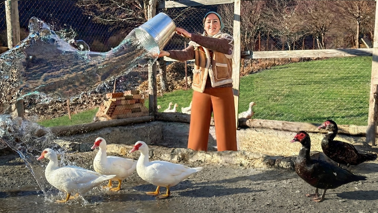 Simple Village Life | Caring for Animals and Farm Work
