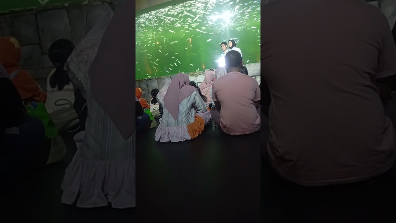 Menengok pinguin 