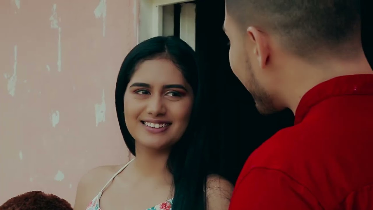 el perrazaso   video oficial   los hermanos lopez