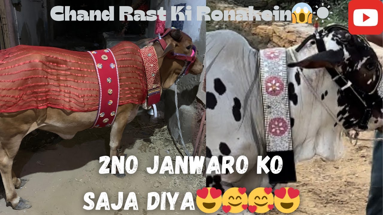 Qurbani K Janwaro Ko Saja Diya 😍😍 | Chand Raat ki Ronakein | #chandraat