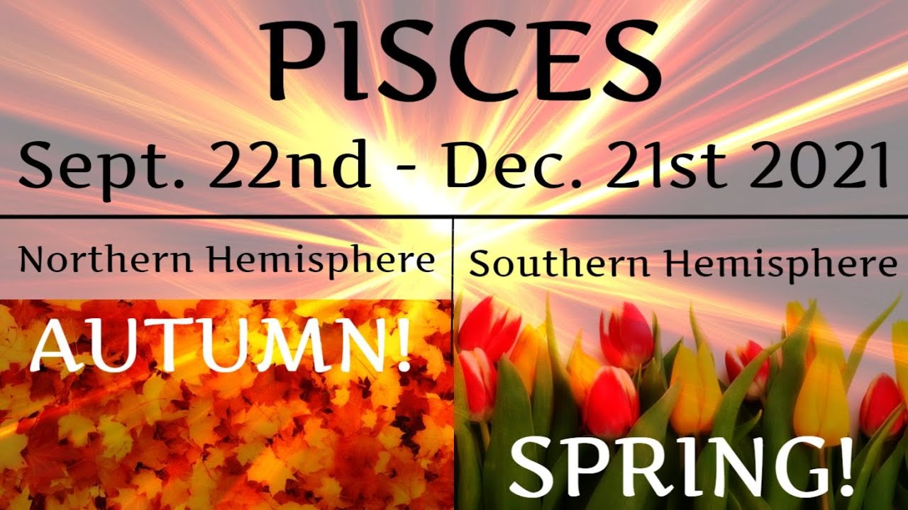 ♓️Pisces ~ OMG, It’s Soooo Good! ~ Seasonal Forecast Sept. 22nd - Dec. 21st