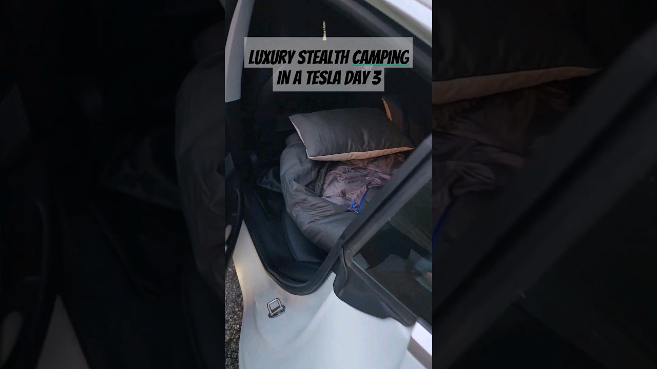 Роскошный кемпинг Tesla Stealth, день 3 #вирусный #стелс #кемпинг #электромобиль #автономнаязарядка