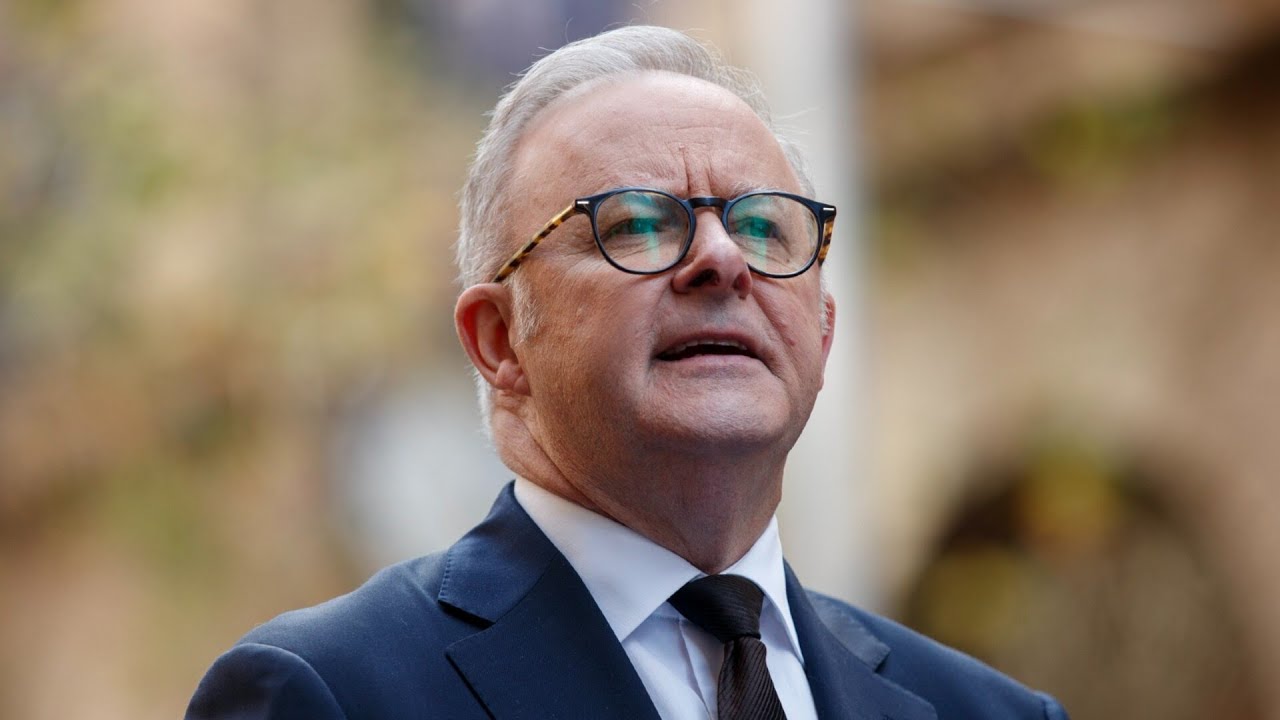 Albanese government to crack down on NDIS &lsquo;fraud and abuse&rsquo;