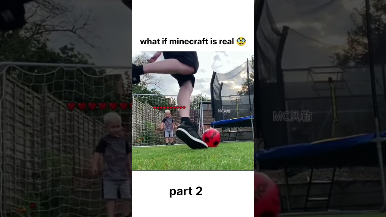 Minecraft in real life part 2 😎😎#minecraft #minecraftmemes #reallife #reels