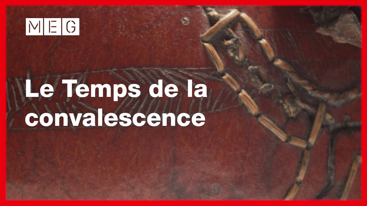 Le Temps de la convalescence