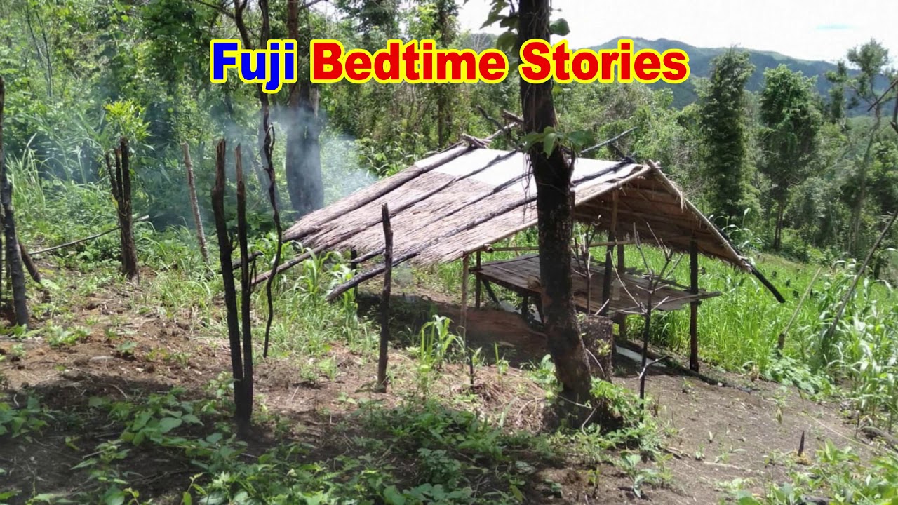 Mus Caum Tus Dais Raug Mob (Bear Attack)