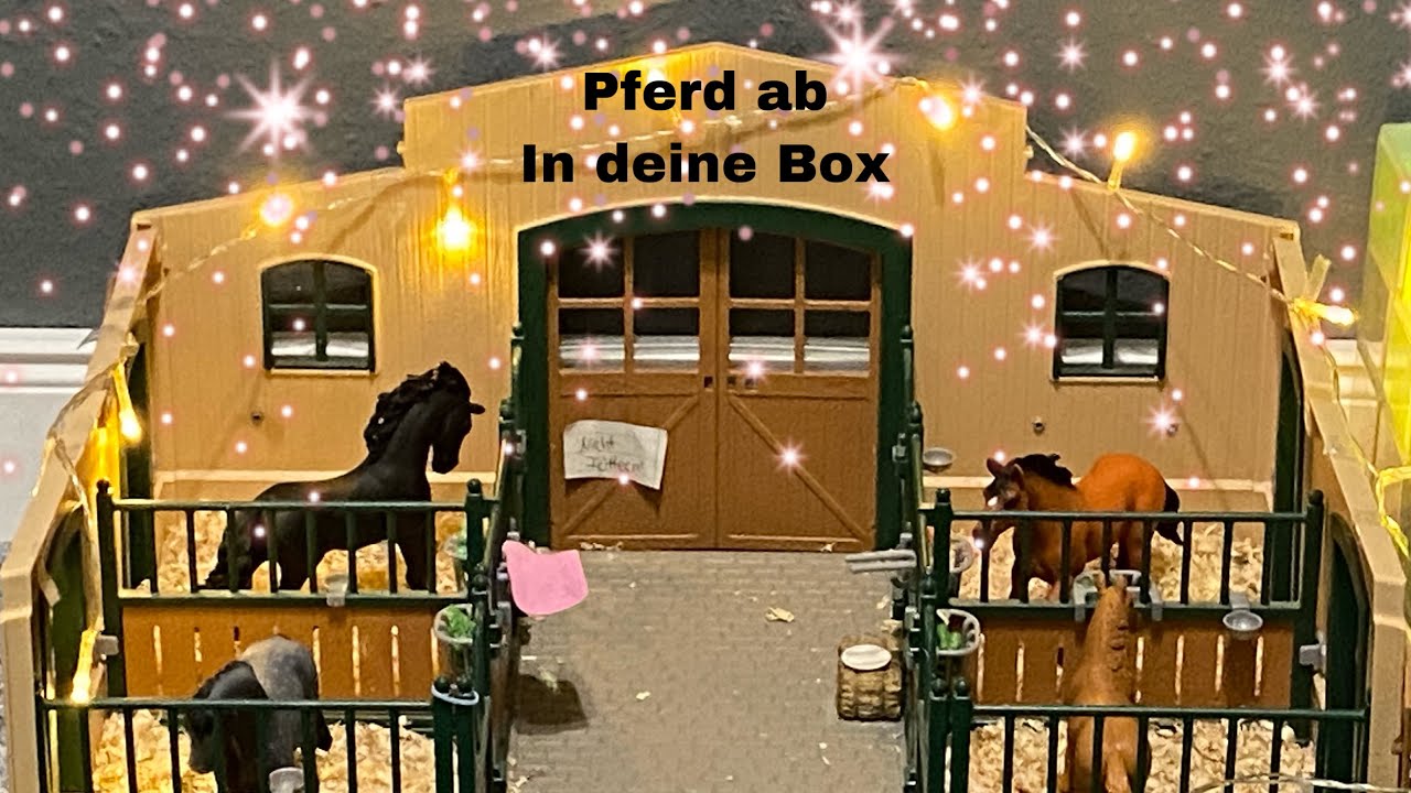 Pferd ab in deine Box❤️🤗