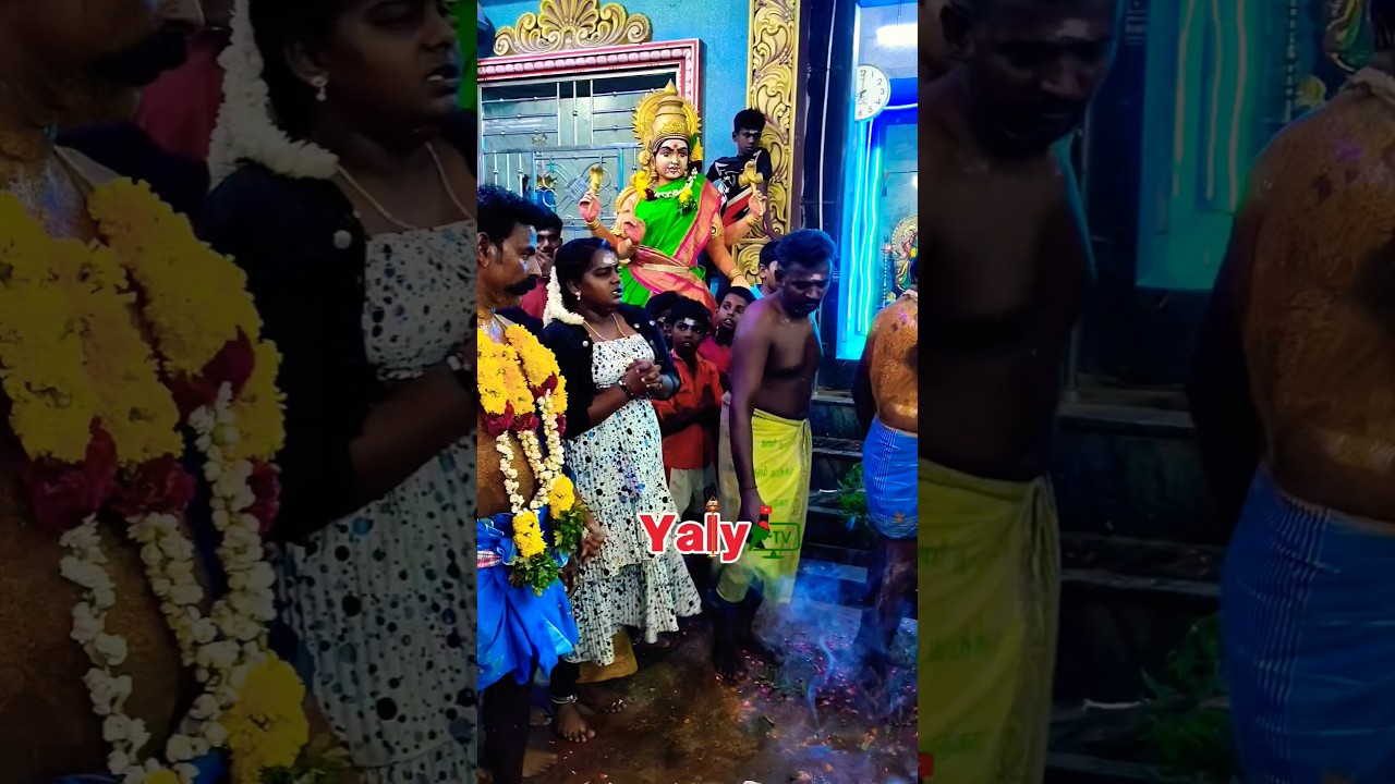 வடக்கு வாகைக்குளம் கரையடி காலசாமி #yalytv